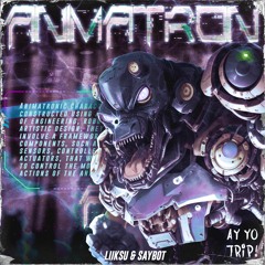 Liiksu & Saybot - Animatron