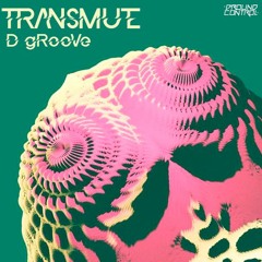TRANSMUTE DGROOVE - GROUND CONTROL MEXICO.