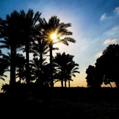 كيف تستقبل رمضان؟! _ م. أيمن عبدالرحيم