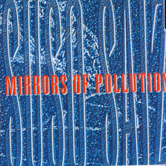 On The Inside Of The Mirror