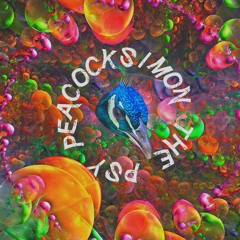 Dokounta - Simon The Psy Peacock (Free DL)