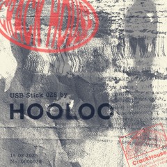 USB Stick by HOOLOO | 028