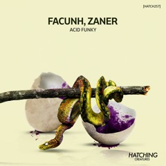 Facunh, Zaner - Shaft Of Light (Original Mix) [ HATCHING CREATURES]