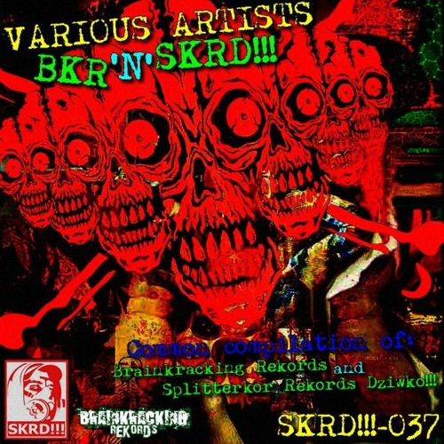 The Kracker - Stupid Drugged Cunt