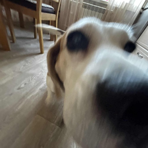 uuu