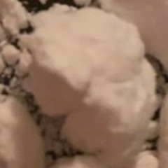 Dont fuck with my GANG