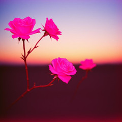 Pink Roses