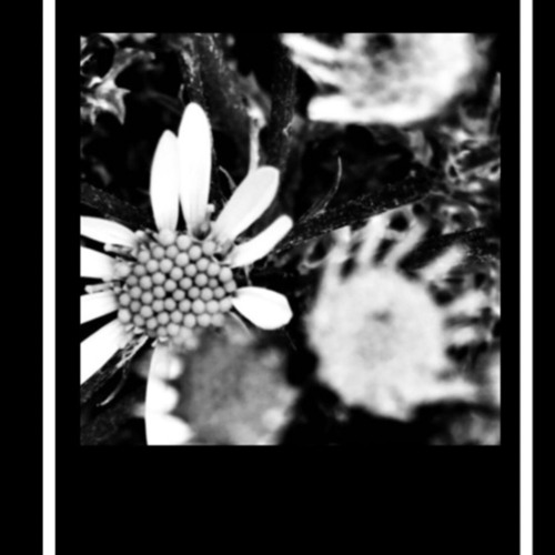 Movement #2