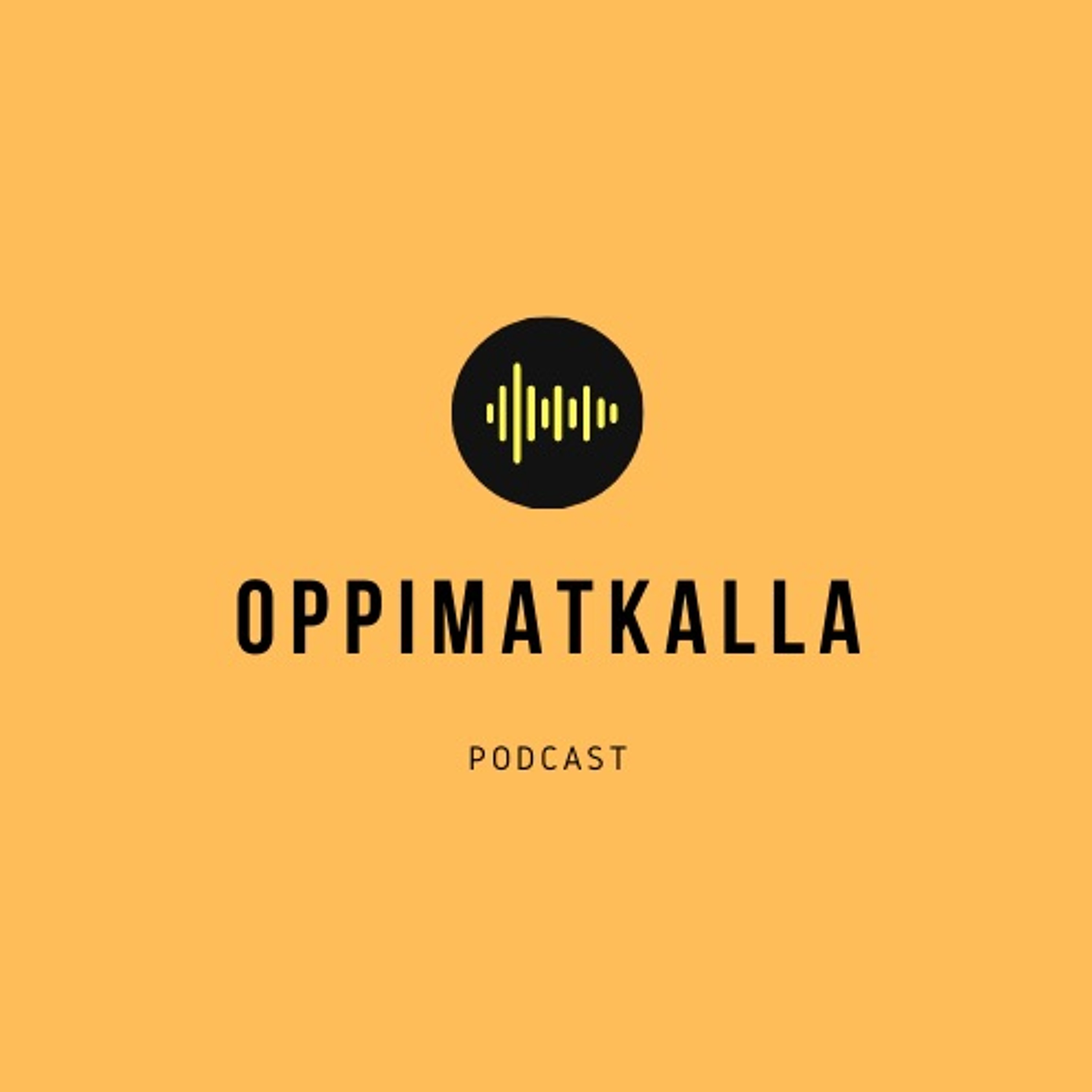 Jakso 21. Miten ajatella oikein? episode artwork