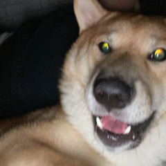 JIM