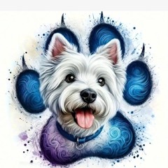 Adopta,  Adopta .mp3