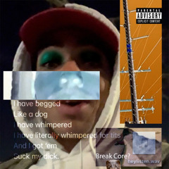 MINK (do you like breakcore?)