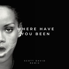 Where Have You Been - Scott David Remix (0:30)