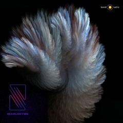 Live @ Bondi Radio 2020 (AUS)