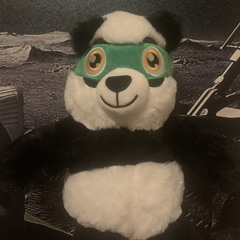 Ree G - Wege trennen sich  (2017 Reeboot)