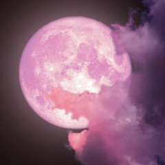 Pink Moon Meditation - Gratitude