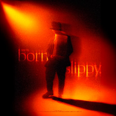 born:slippy._