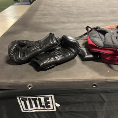 Big Dawg Status (prod. joel)