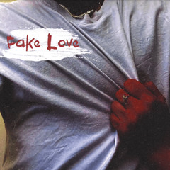Fake Love