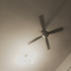 ceiling fan (acey)