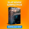 Descargar video: Slap House Masters Sounds Vol. 2