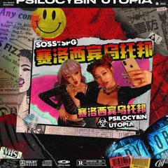 Asian Rock Samples ‘25