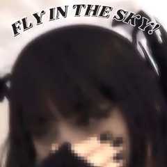 (OUT NOW ON ALL PLATS) Fly in the Sky!