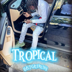 la rvfleuze - tropical