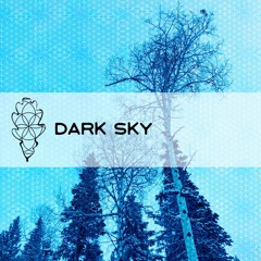 Lvl7 - Dark Sky (ft. Kyte) (Jameson Oak Remix)
