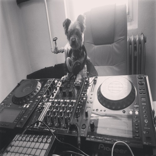 Tiefenentpannt - Püppy
