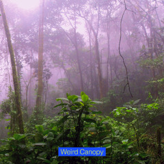 Weird Canopy