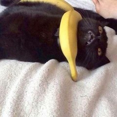 Nhạc vip pro nhưng bị  underrated