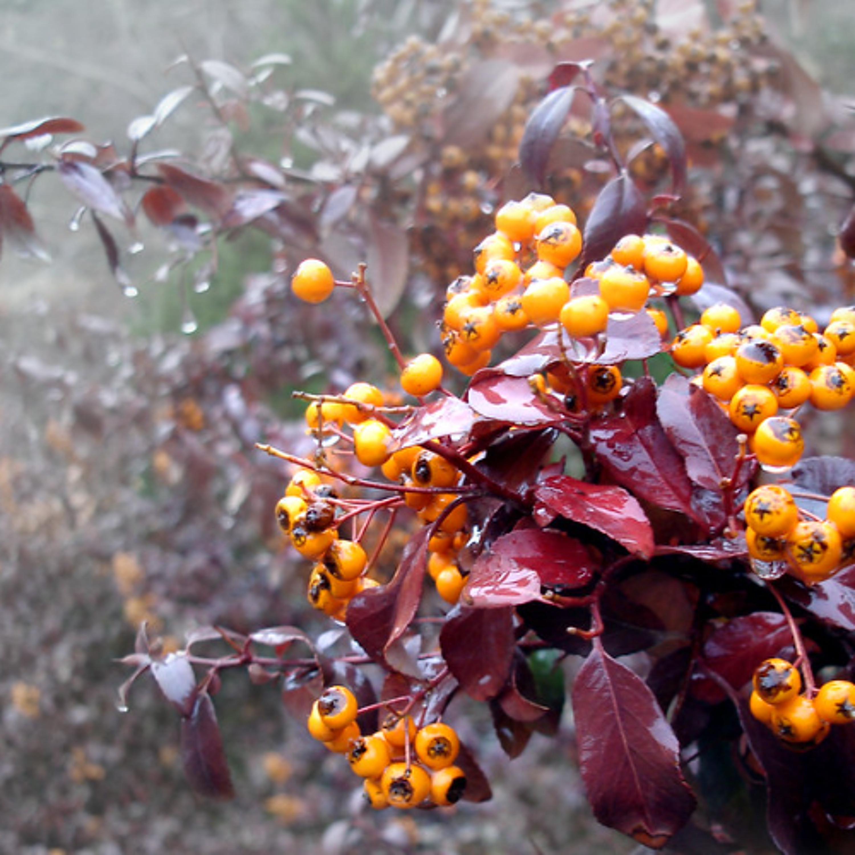 US Leaders Are Cheerleaders for a War Machine