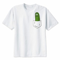 pickle rick megalo