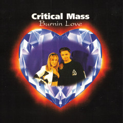 Burnin' Love (DJ Weirdo & DJ Sim 173.683 Remix)