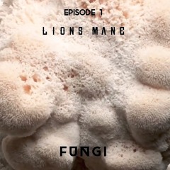 FUNGI - Episode 1  "Lion's Mane"