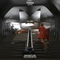 Tinga - Fangüil