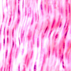 Soft Tissue 003