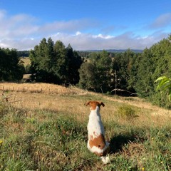 prado - amador, matadero (demo acústico)