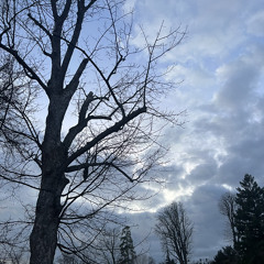 A/R cover by julie.bot