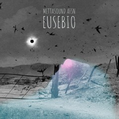 Mettasound AFNS (Eusebio)