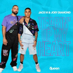 Jace M Ft. Joey Diamond - Tearin' Up My Heart (Dani Brasil & Rafael Dutra Remix)