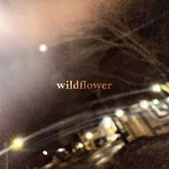 wildflower (for spotify)