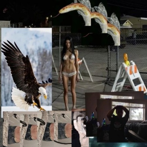 Eagle Entry