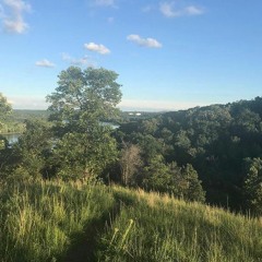 you are my sunshine (cover)