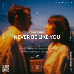 Flume - Never Be Like You (Ted Bear Remix)