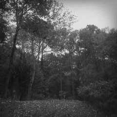 DRAGONMANE - BACK IN THE BLAZE (PROD. DOWNSTATE)