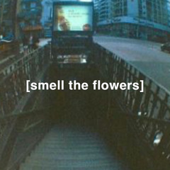 Smell the Flowers (prod. project martin)