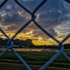 SCARS Cottsii ft Kayler