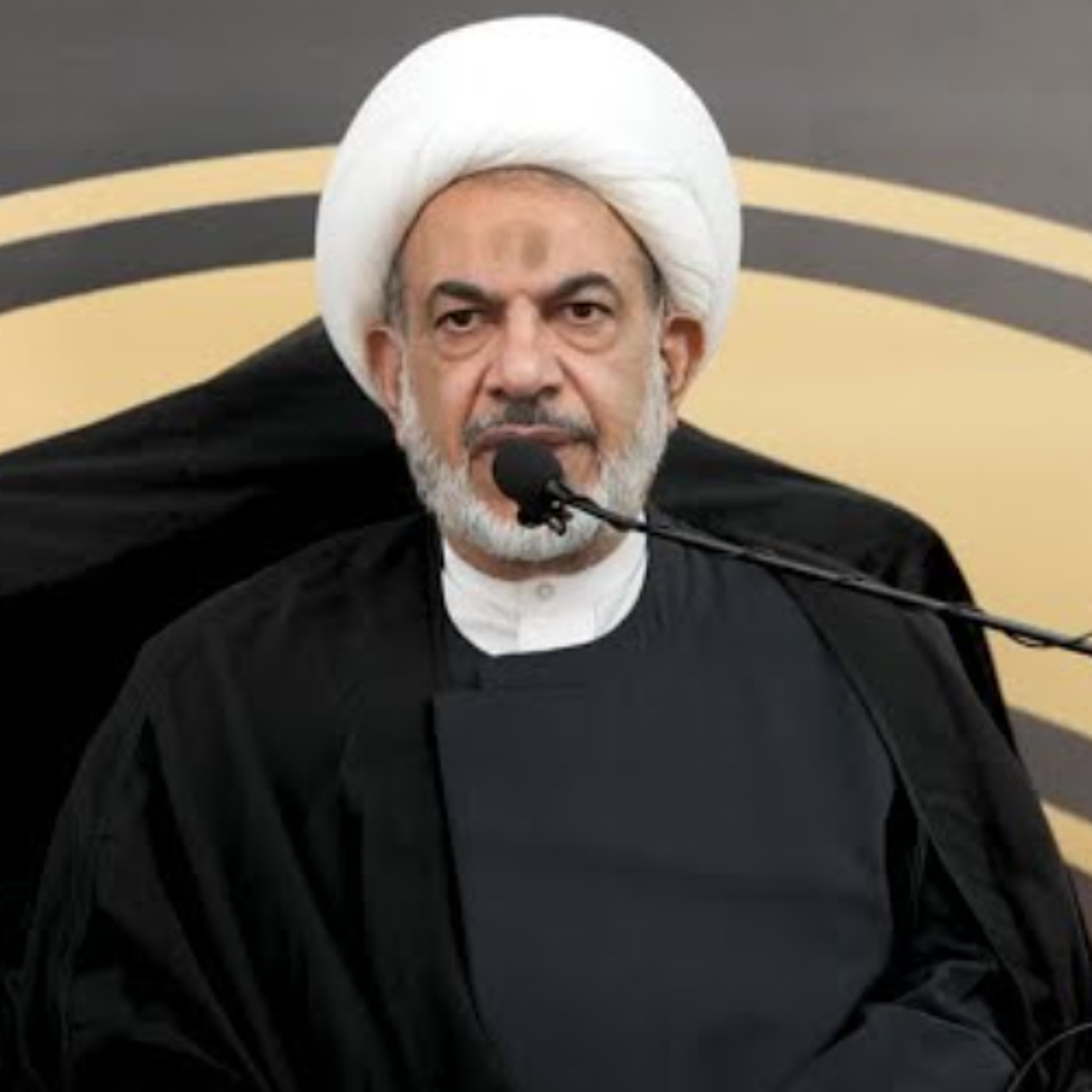 كيف واجه الإمام الرضا المشكلة الداخلية والخارجية